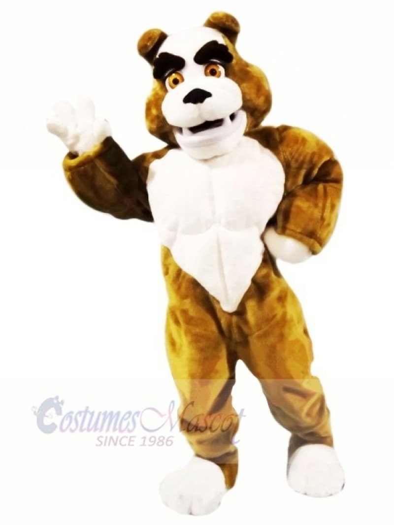Power Muscular Bulldog Mascot Costumes Cartoon