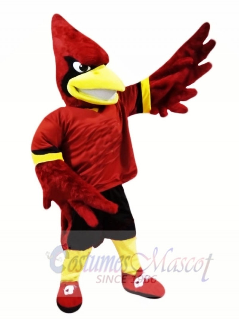 College Cardinal Mascot Costumes