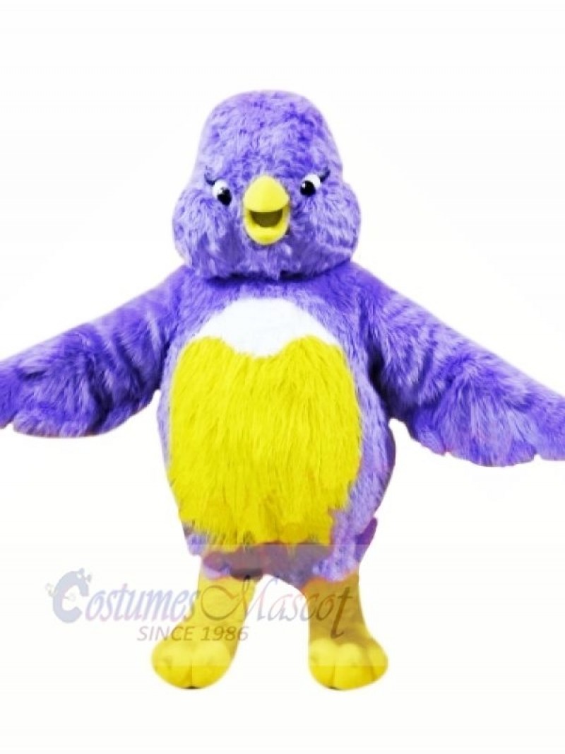 Fat Bird with Small Eyes Mascot Costumes Animal	