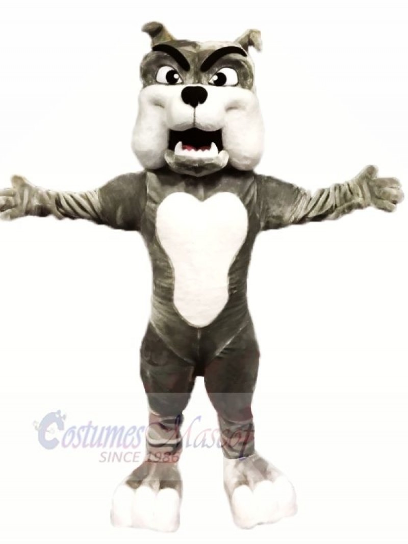 Quality Grey Bulldog Mascot Costumes Cartoon