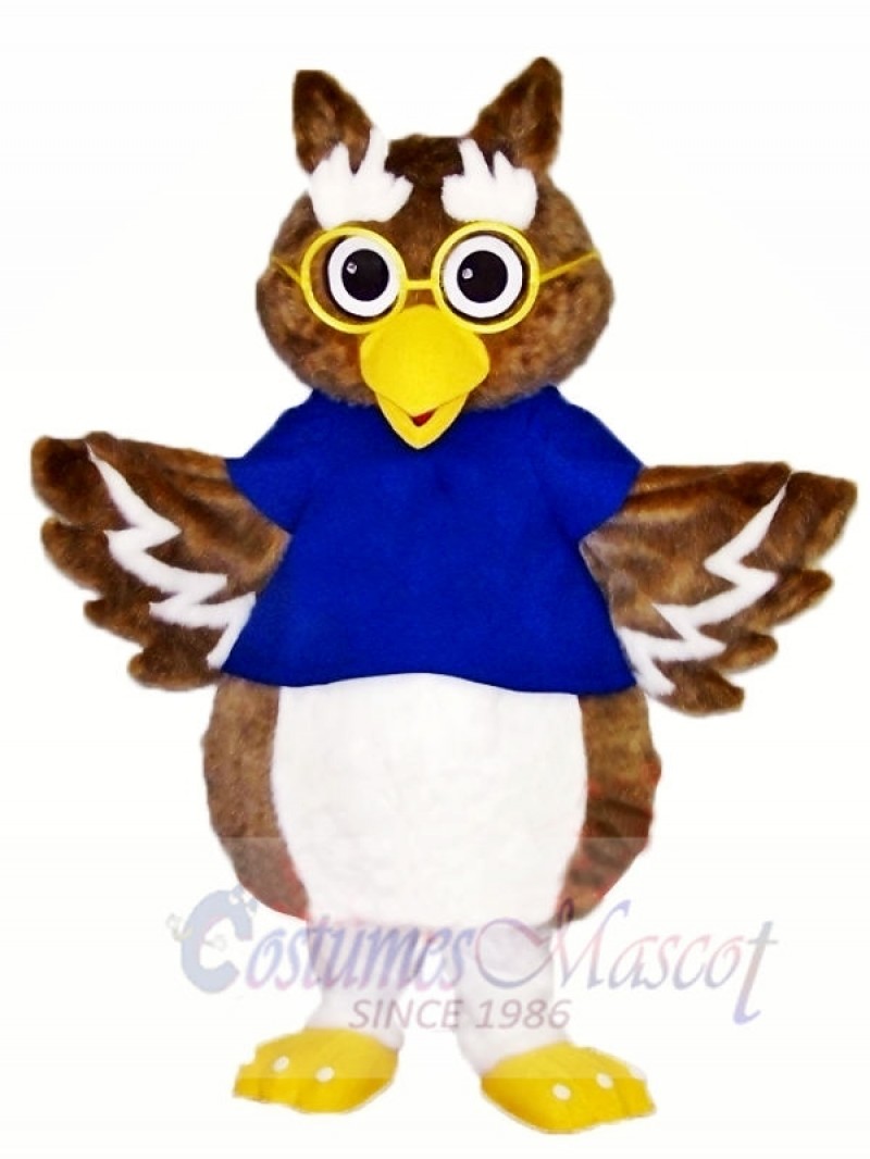 Cute Owl Mascot Costumes