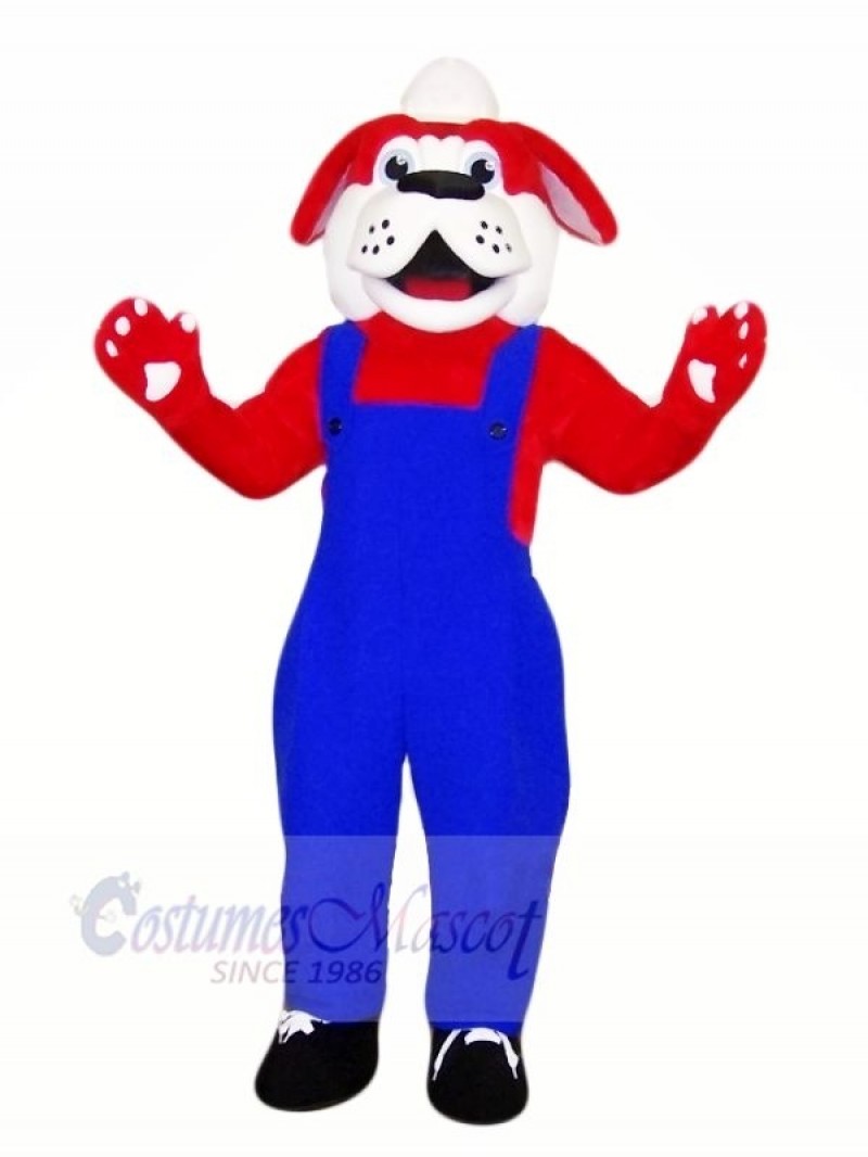 Cute Red Dog with Black Shoes Mascot Costumes Animal
