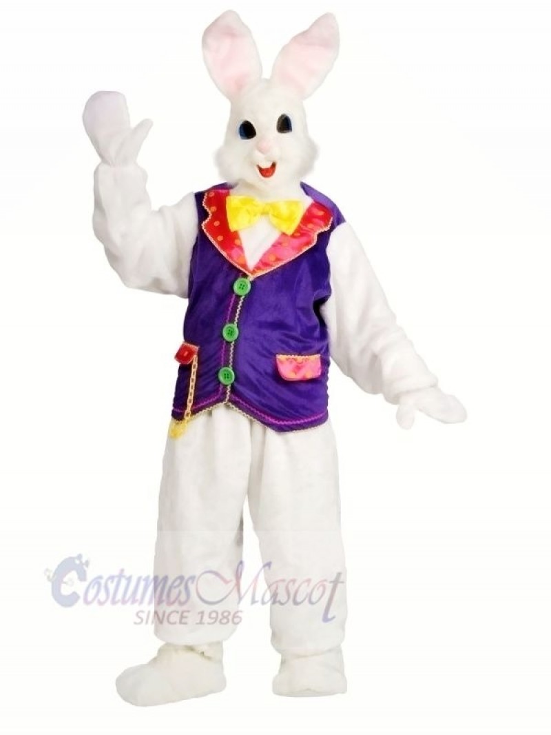 Rabbit with Purple Vest Mascot Costumes Bunny Animal