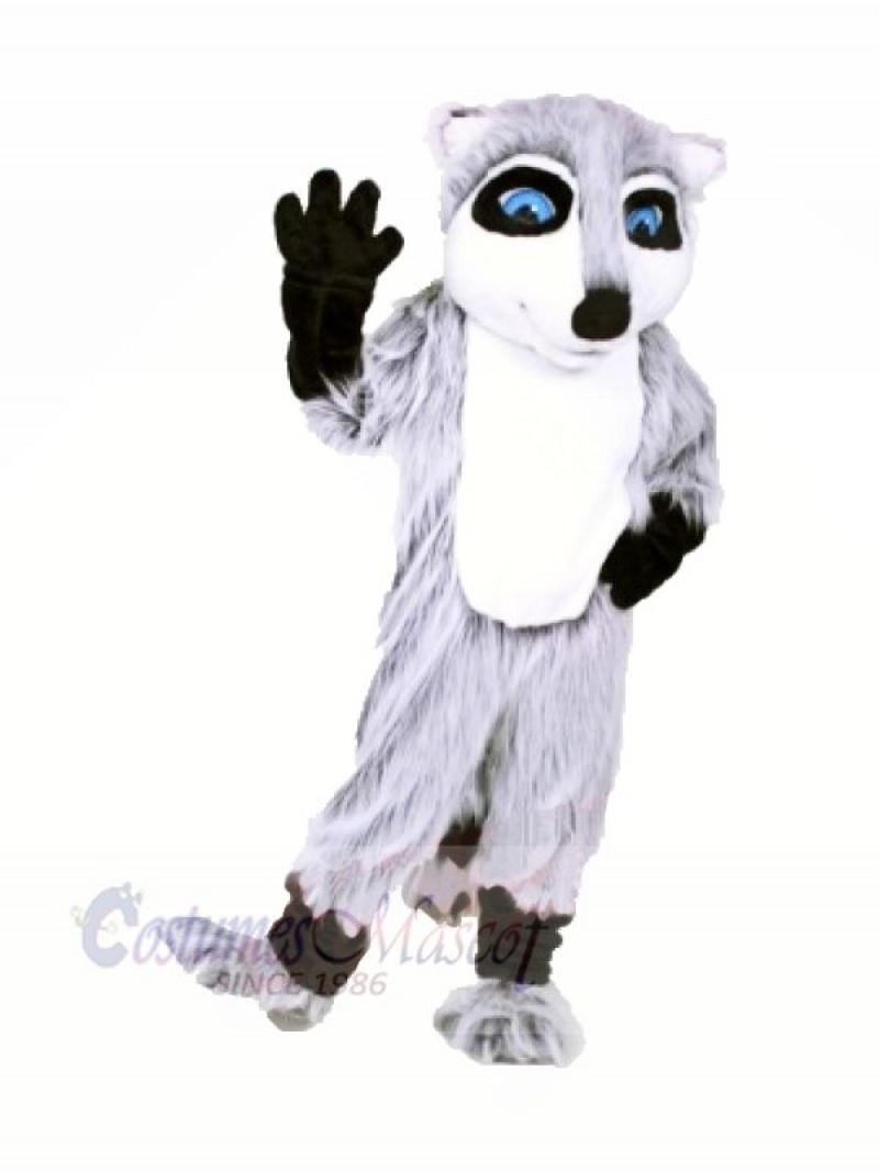 Quality Raccoon Mascot Costume Cartoon