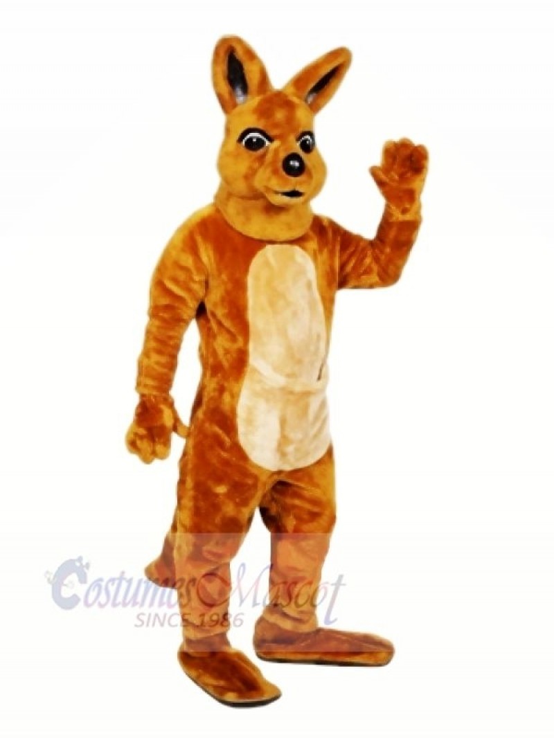 Quality Kangaroo Mascot Costumes Cartoon