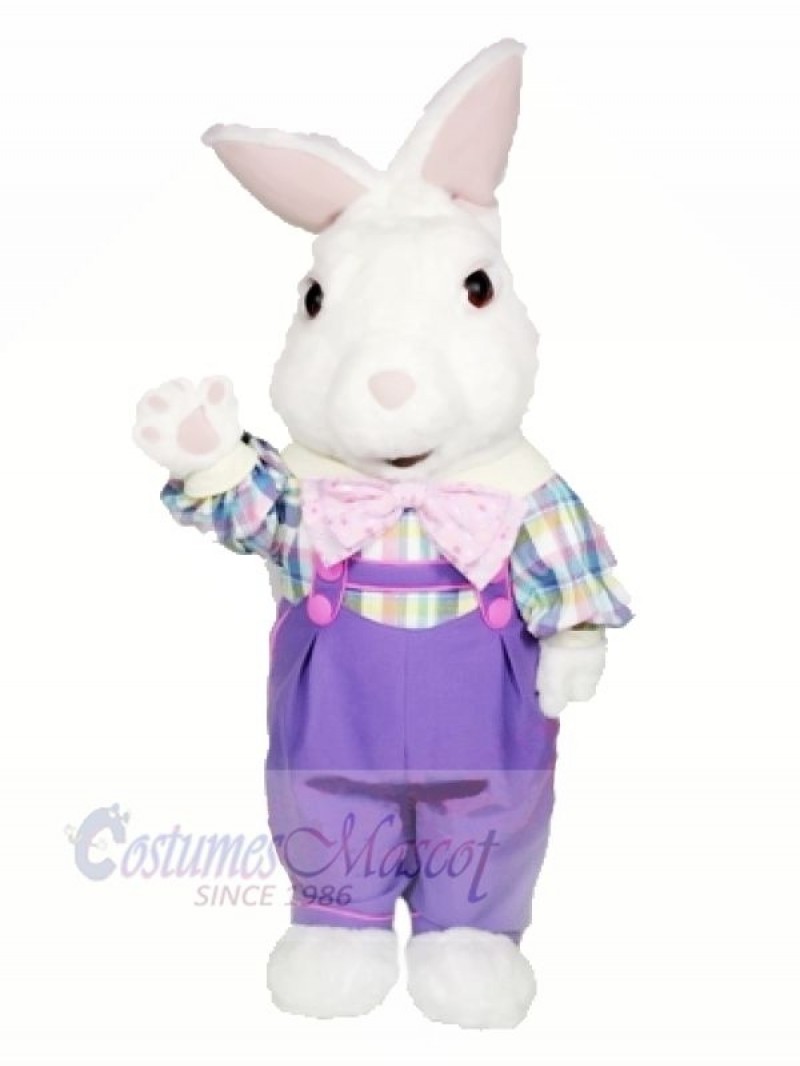 Fuzzy Bunny with Purple Suit Mascot Costumes Cartoon