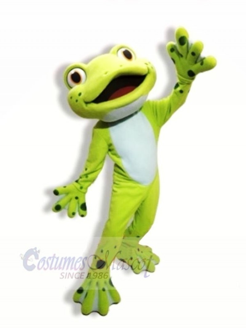 School Cute Frog Mascot Costumes Cartoon