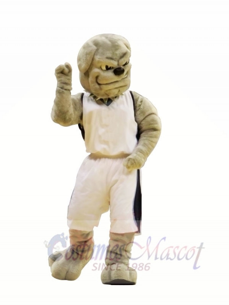 College Bulldog Mascot Costumes