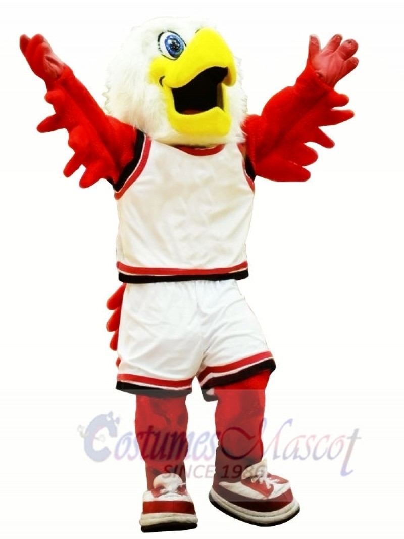 College Hawk Mascot Costumes