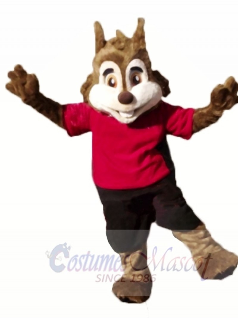 Cute Sport Squirrel Mascot Costumes 