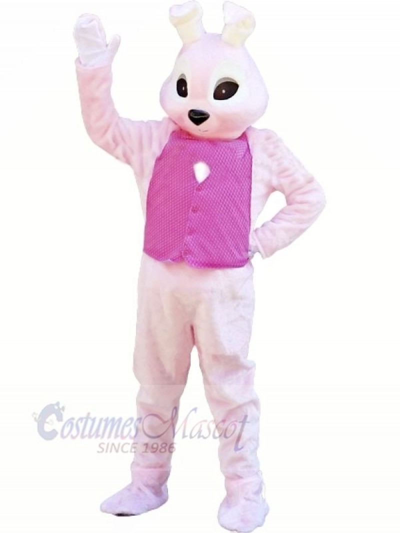 Bunny with Pink Vest Mascot Costumes Animal