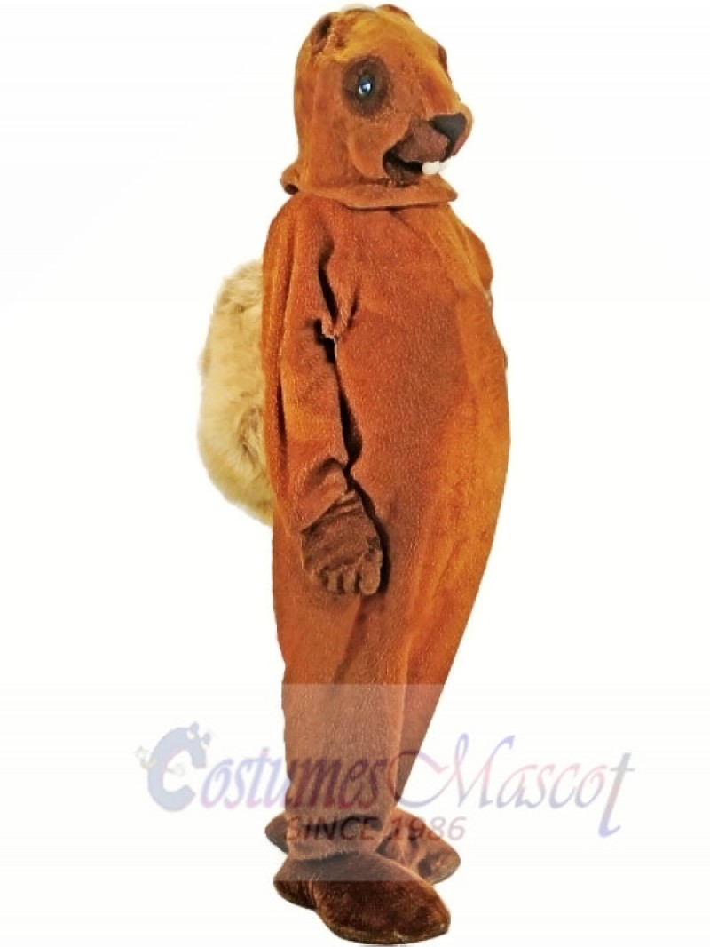 A Medium-brown Squirrel Mascot Costumes 