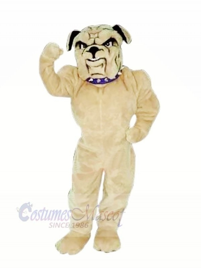 Realistic Bulldog Mascot Costumes Cartoon