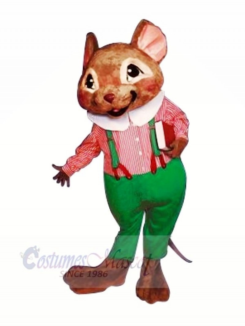 Beautiful Mouse with Big Ears Mascot Costumes Animal