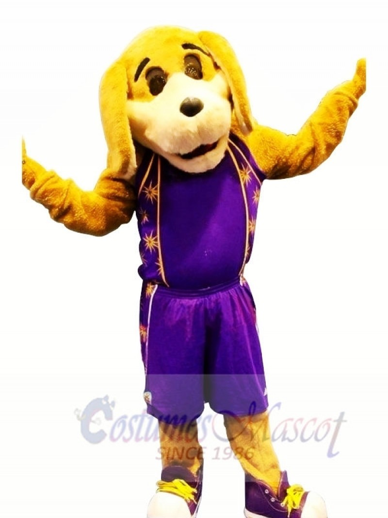 Sport Dog with Purple Suit Mascot Costumes Animal
