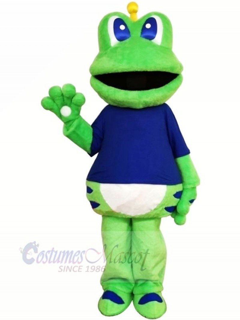High Quality Furry Frog Mascot Costumes