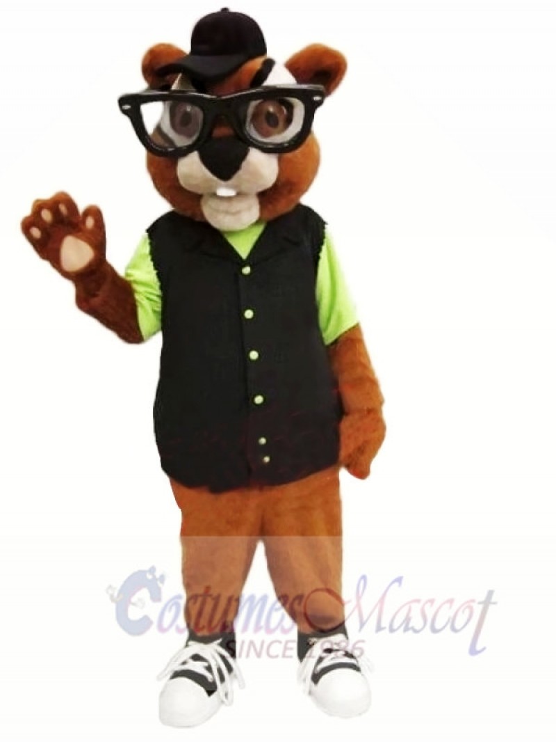 Chubby Chipmunk Mascot Costumes 