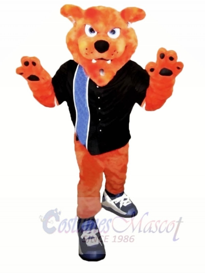 College Bobcat Mascot Costumes