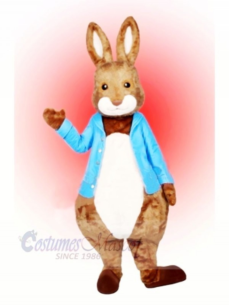 Peter Rabbit Mascot Costume Cartoon