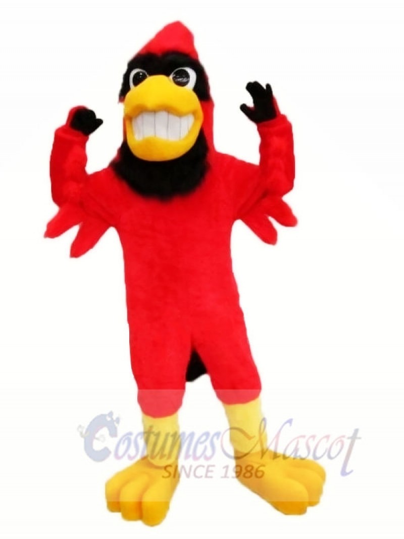 Strong Red Cardinal Mascot Costumes Animal