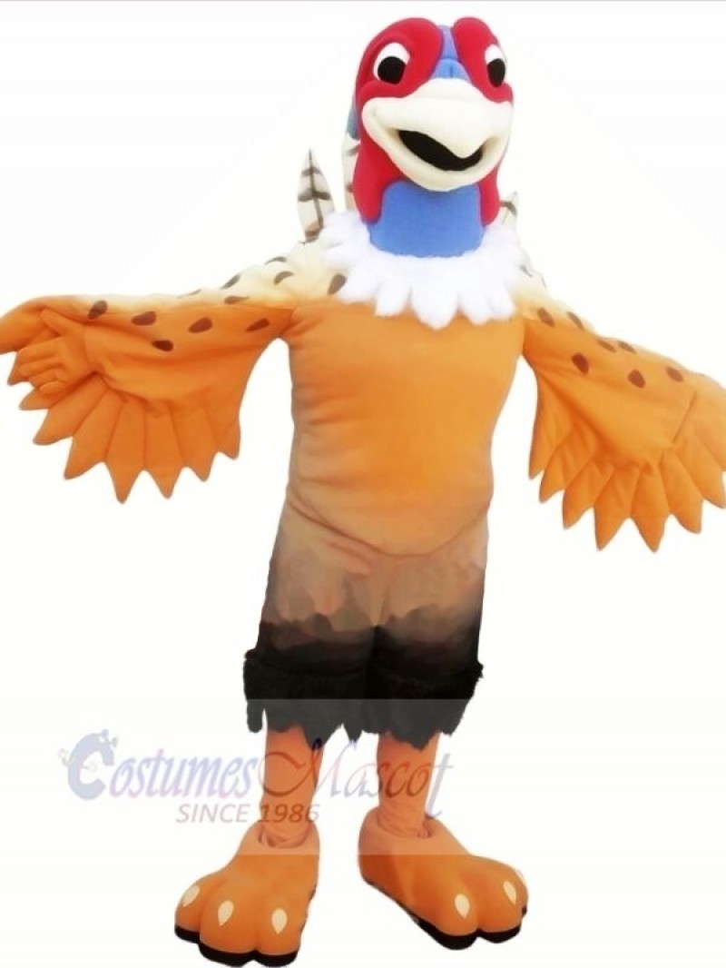 Nice Pheasant Mascot Costumes Cartoon 