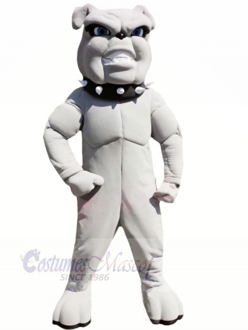 Lightweight Grey Bulldog Mascot Costumes Adult	