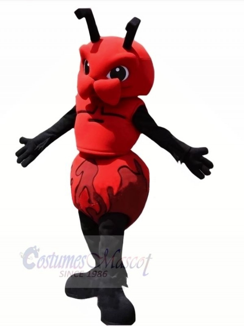 Fierce Black Ant Mascot Costumes