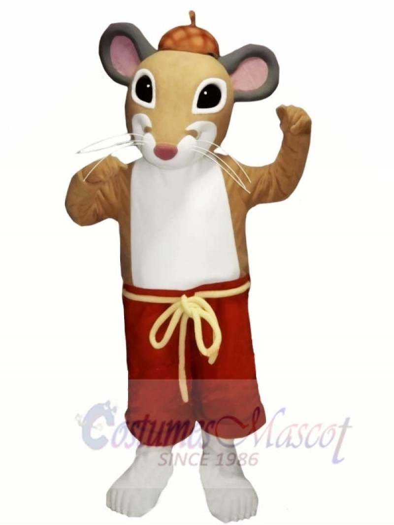 Cute Lightweight Mouse Mascot Costumes