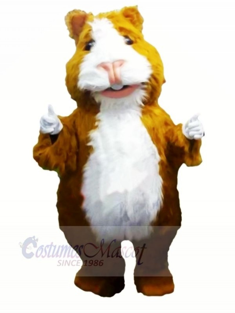 Cute Hamster Mascot Costumes Cartoon	