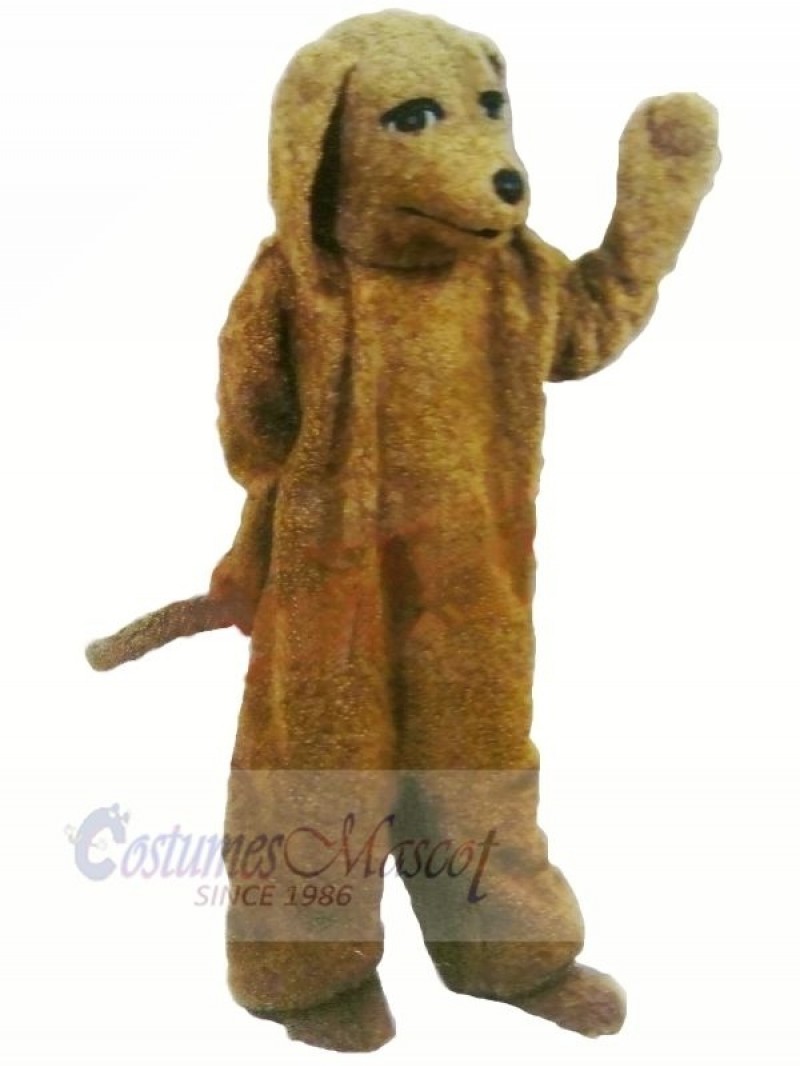 Brown Poodle Dog Mascot Costumes Adult