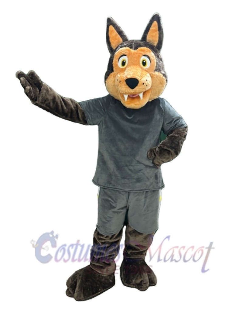 Coyote mascot costume