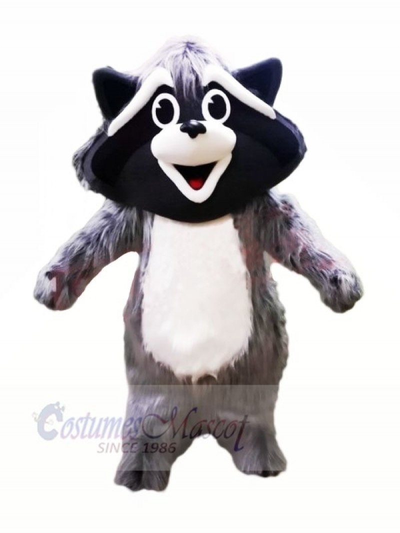 Cute Grey Raccoon Mascot Costumes Animal