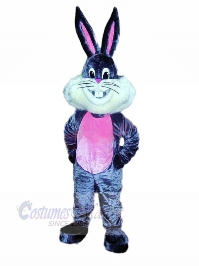Happy Bunny Rabbit Mascot Costumes Cartoon