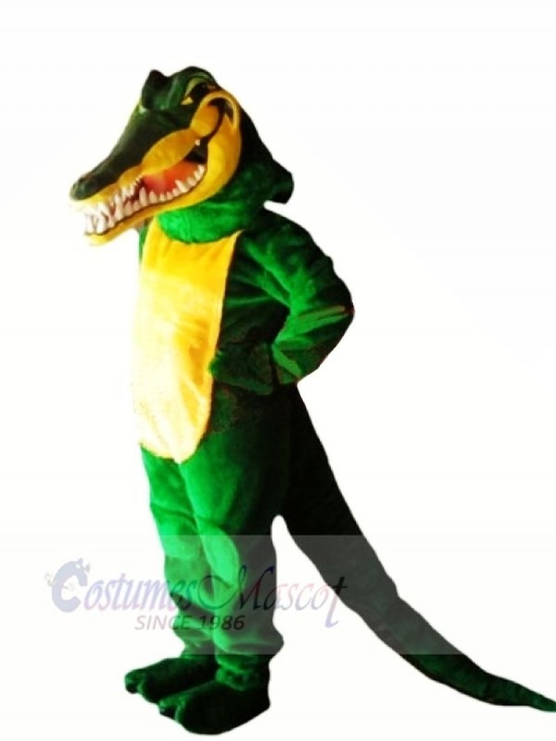 Green Crocodile with Long Tail Mascot Costumes