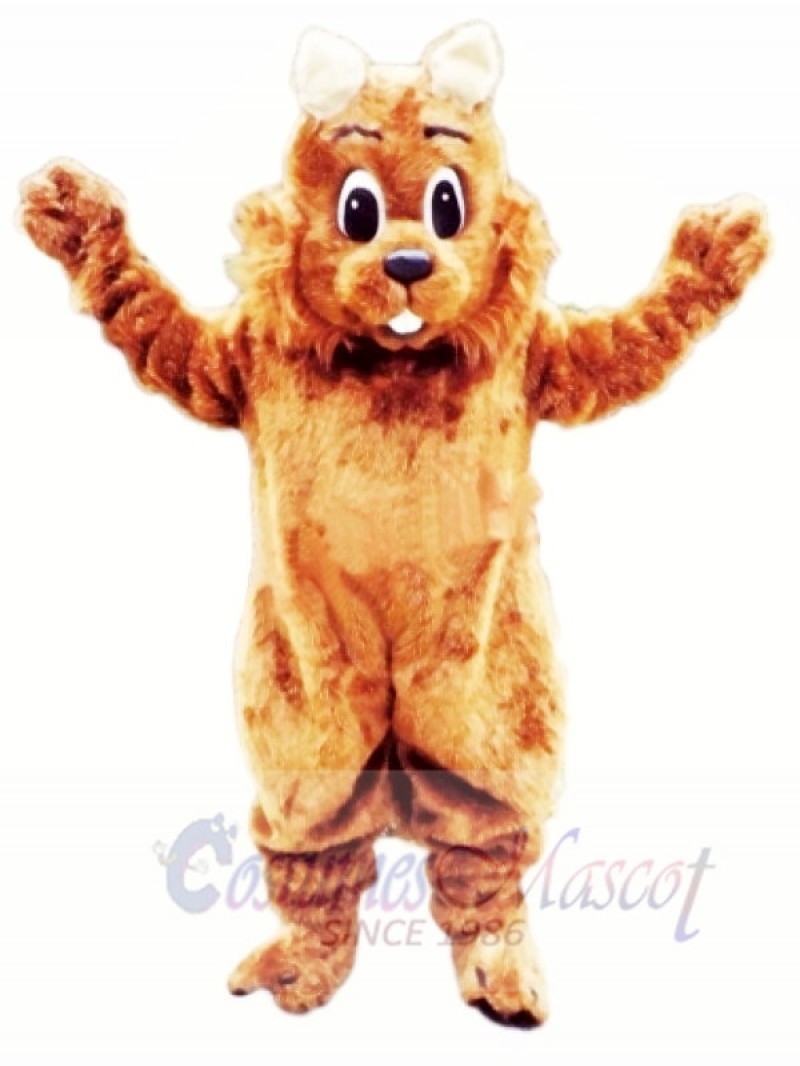 Top Quality Squirrel Mascot Costumes 