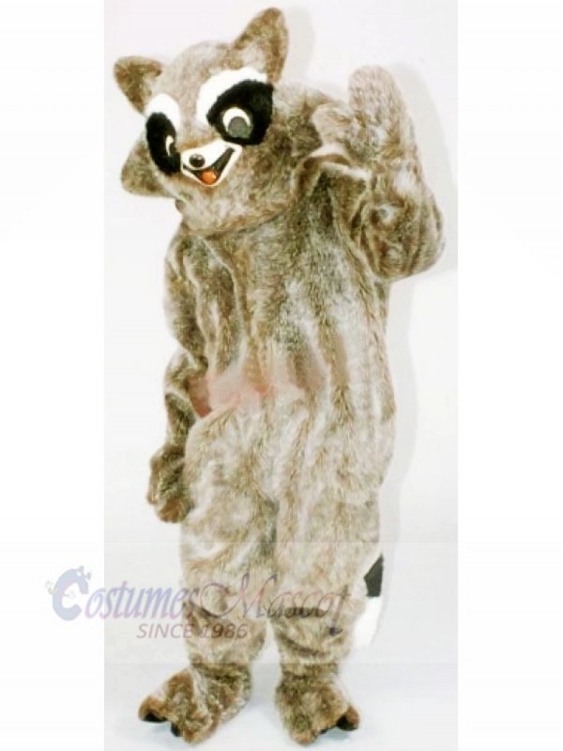 Brown Raccoon Mascot Costumes Cheap	