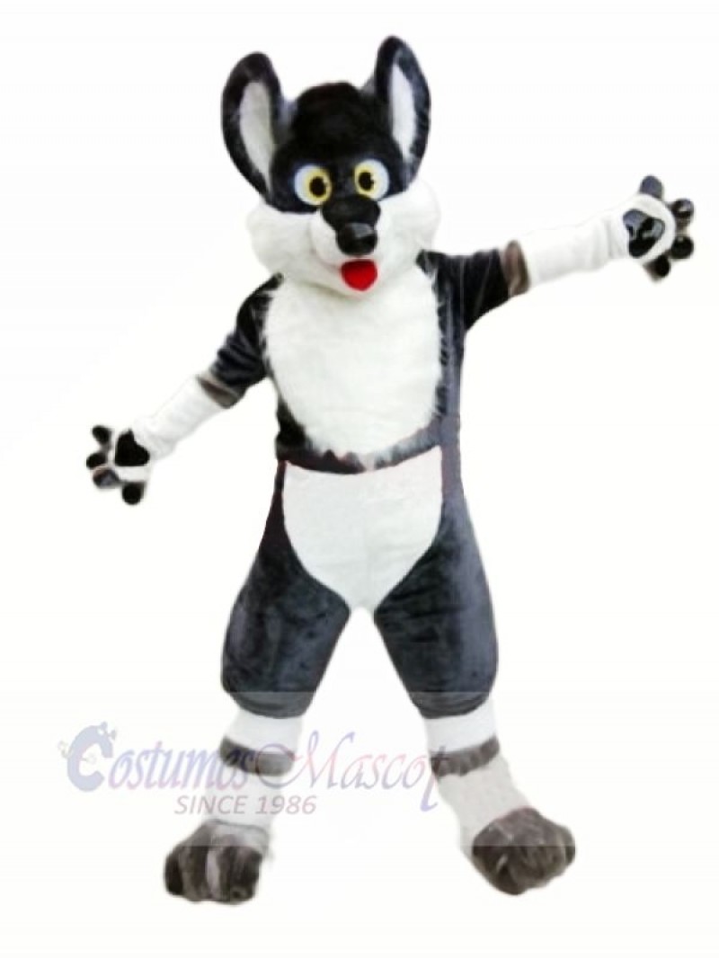 Happy Husky Dog Mascot Costumes Cartoon