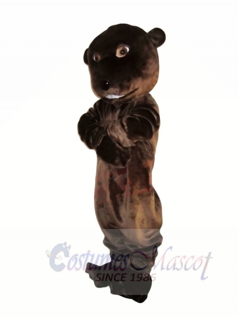 Cute Lightweight Beaver Mascot Costumes