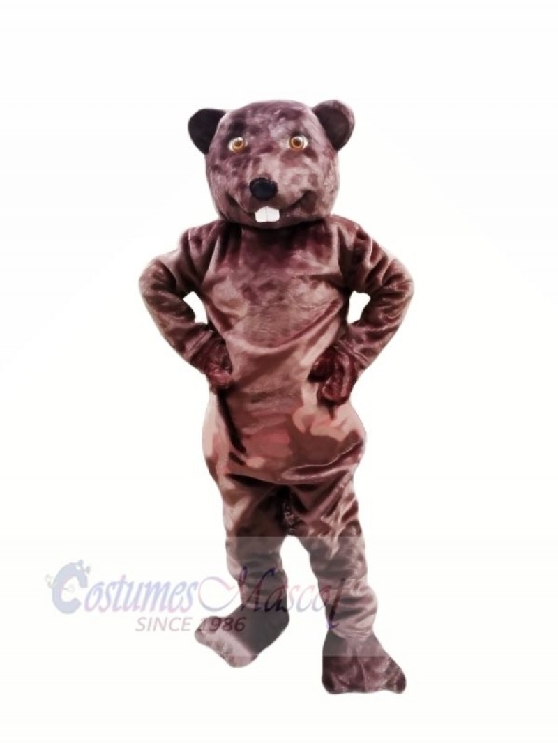 Happy Beaver Mascot Costumes Adult 