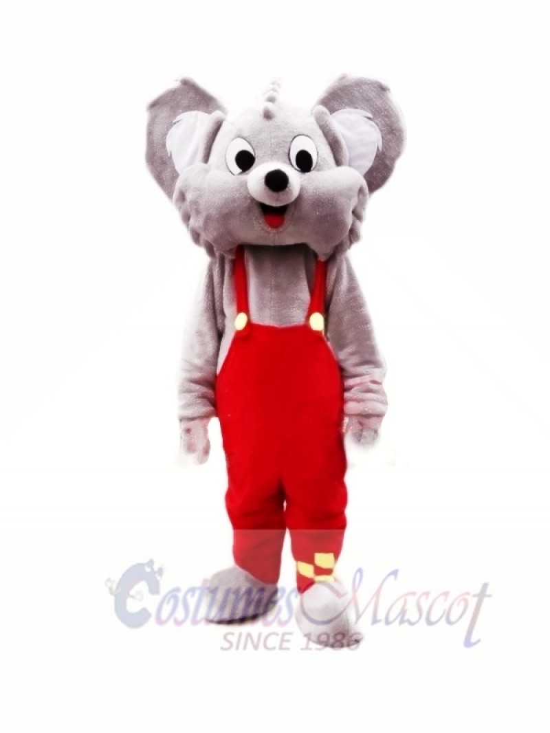 Cute Grey Koala Mascot Costumes