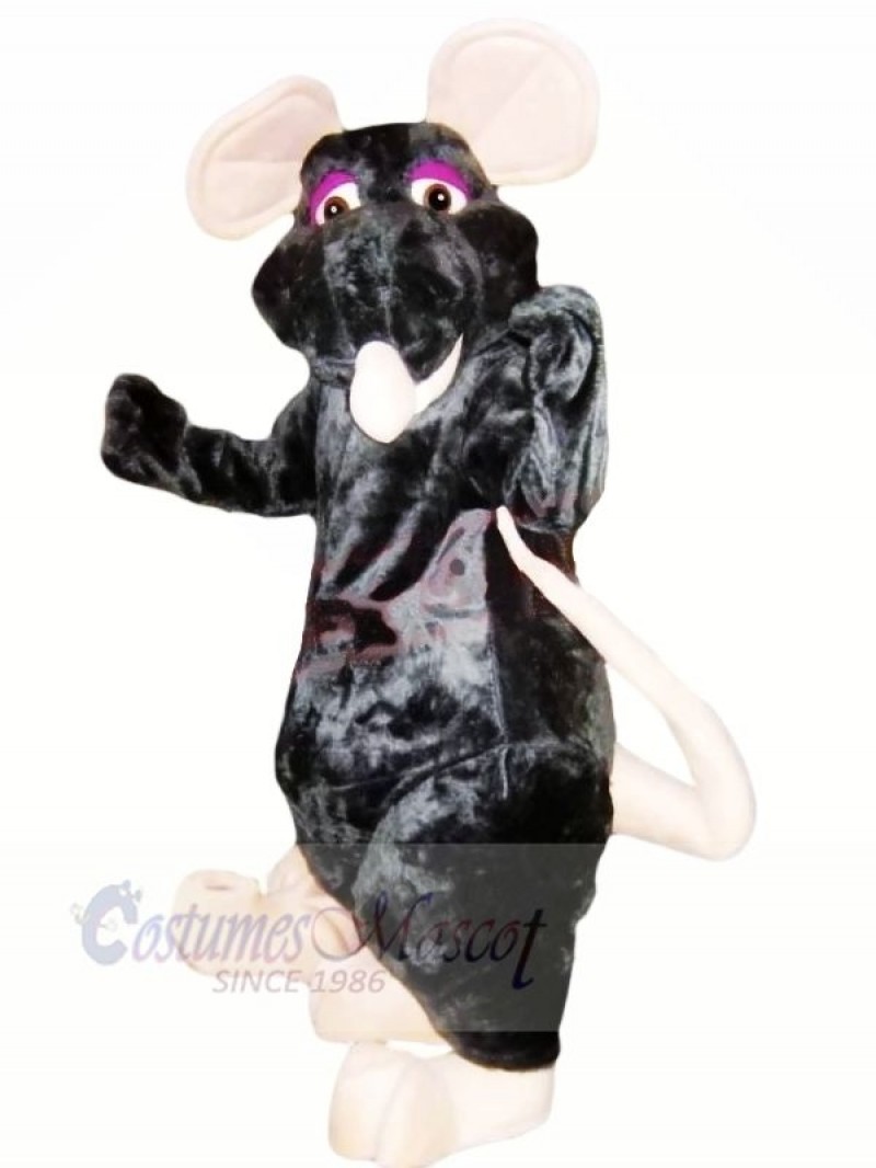 Friendly Black Rat Mascot Costumes Cheap