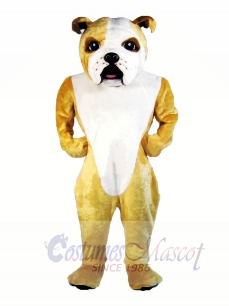 Cute Lightweight Bulldog Mascot Costumes