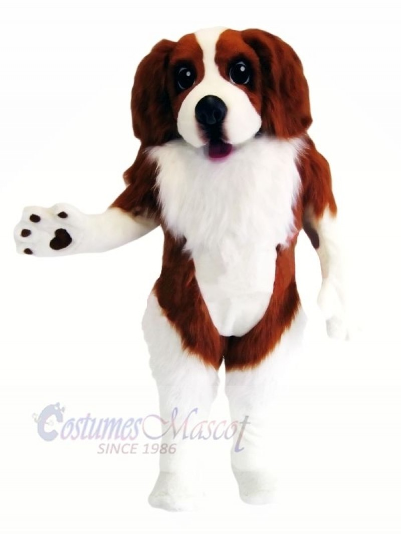 Spaniel Dog Mascot Costumes Cartoon