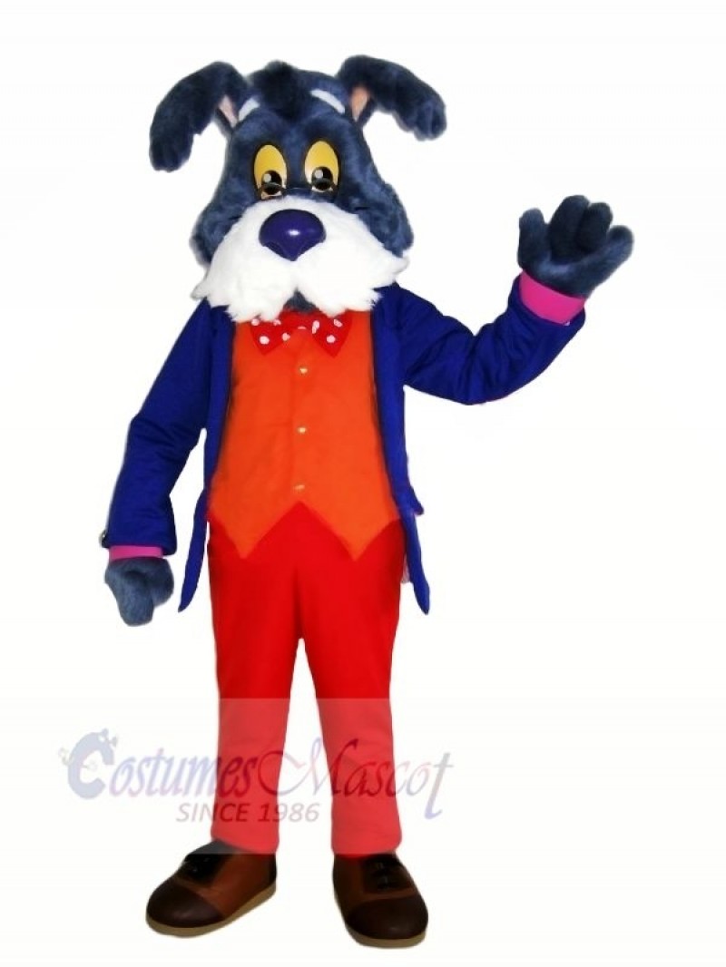 Old Blue Dog Mascot Costumes Cartoon	