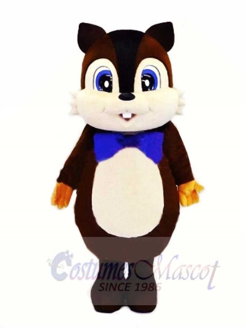 Lovely Lightweight Squirrel Mascot Costumes 