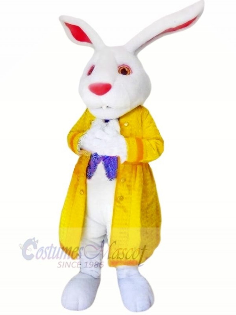 Rabbit with Yellow Jacket Mascot Costumes Animal