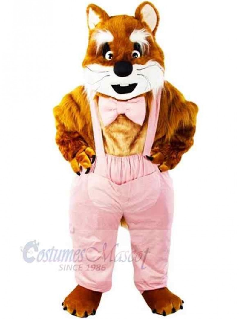 Cat mascot costume
