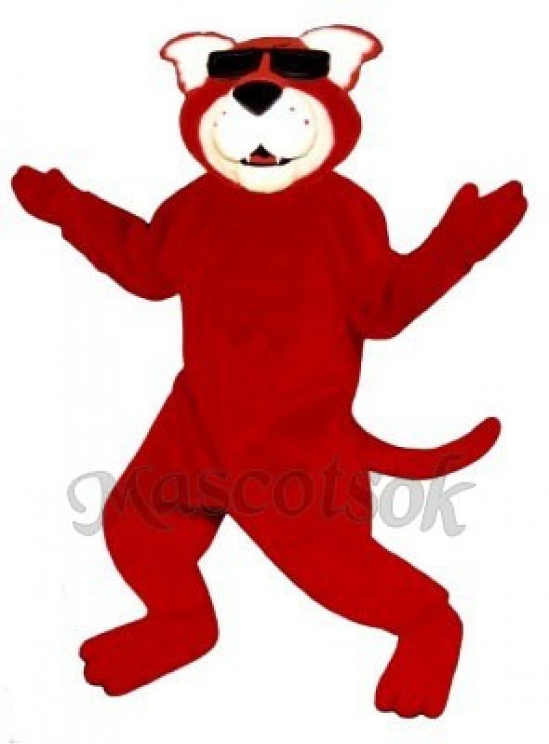 Cute Ready Red Cat Mascot Costume