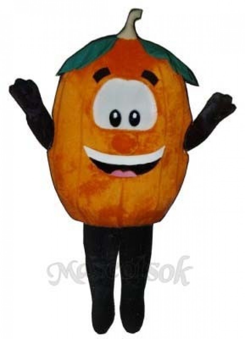 Pumpkin Mascot Costume