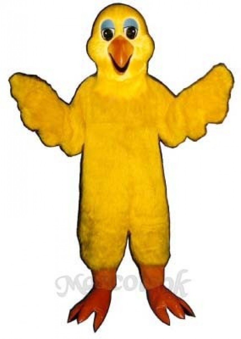 Cute Bird Feathers Mascot Costume